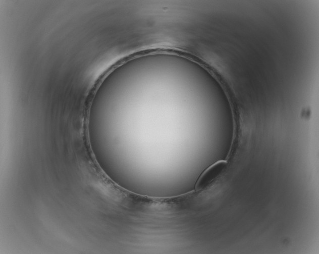 X0000112971316200909031036