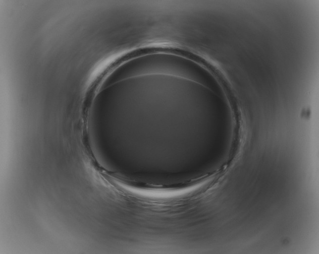 X0000112971319200909031036