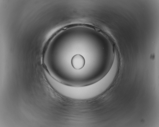 X0000112971320200909031036