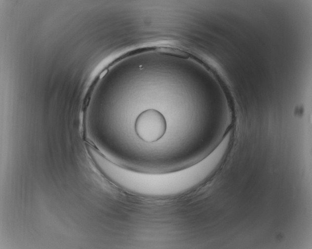 X0000112971324200909031036