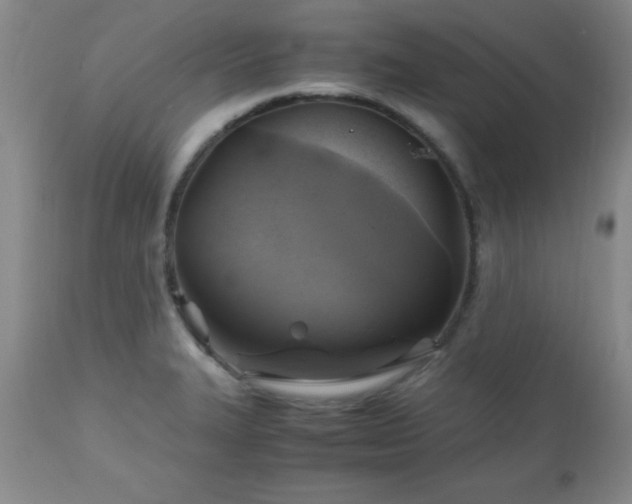 X0000112971327200909031036