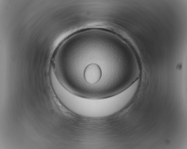 X0000112971328200909031036