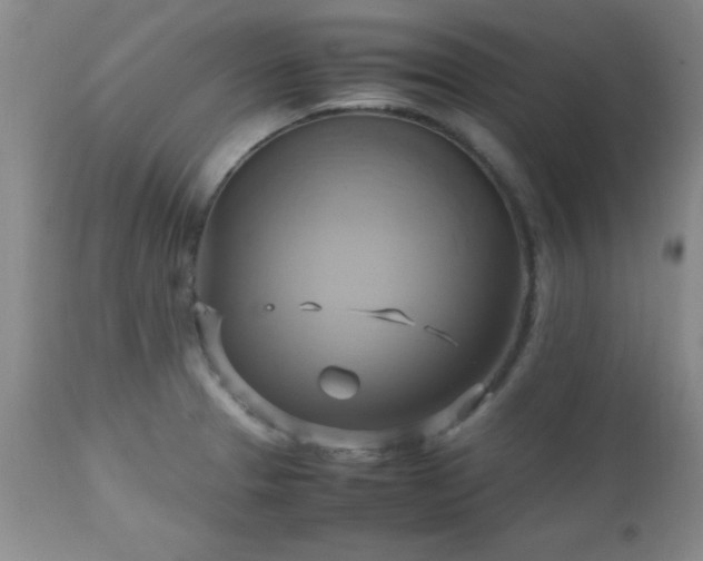 X0000112971329200909031036