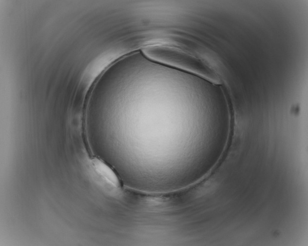 X0000112971330200909031036