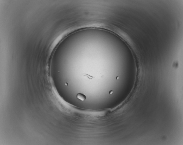 X0000112971332200909031036