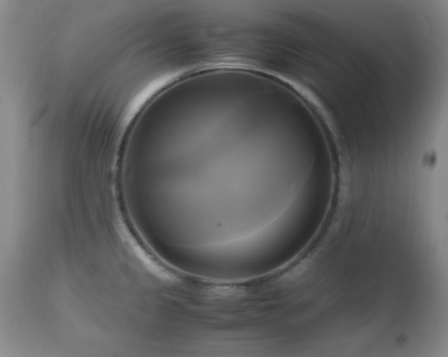 X0000112971333200909031036