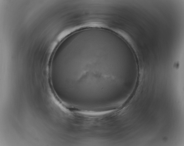 X0000112971335200909031036