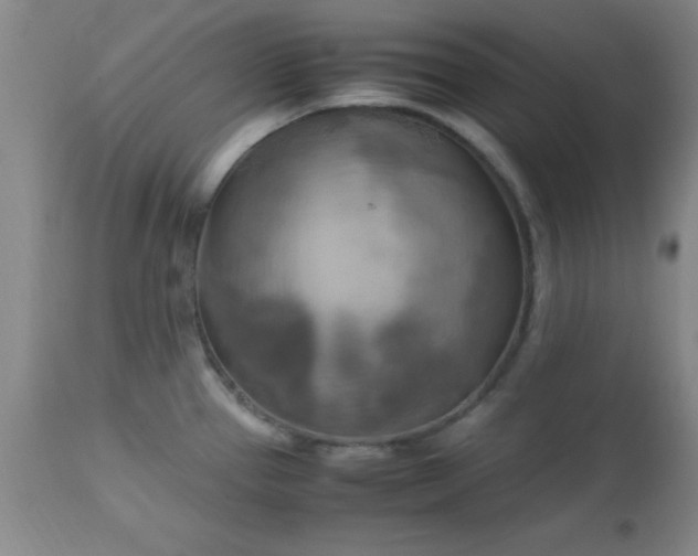 X0000112971337200909031036