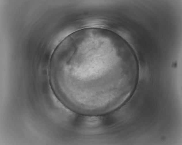 X0000112971338200909031036