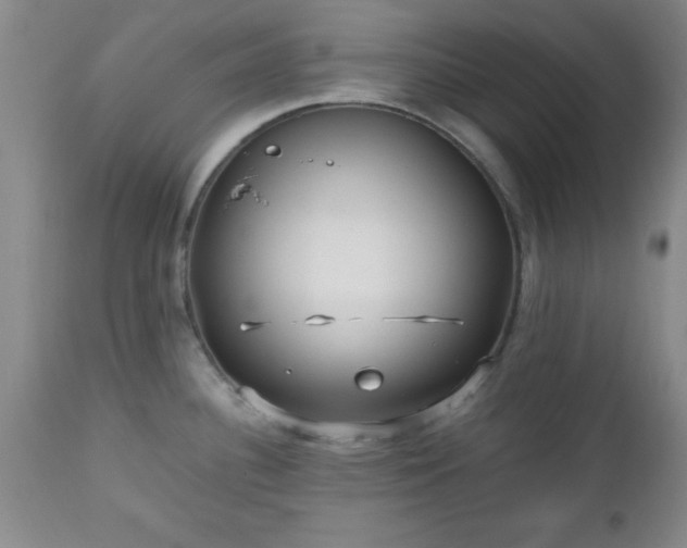 X0000112971340200909031036