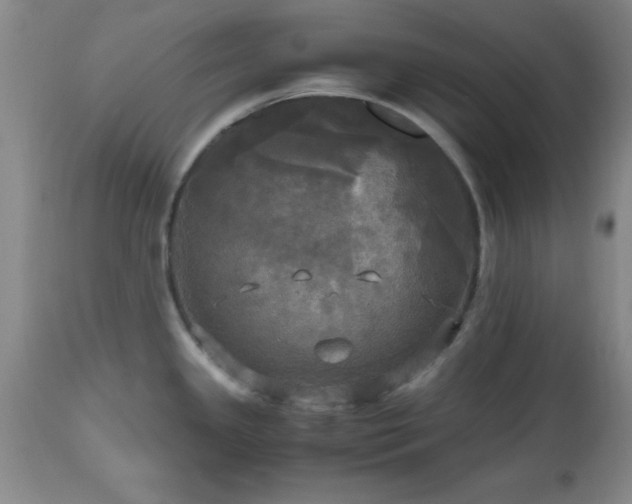 X0000112971341200909031036