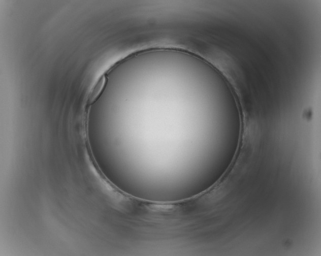 X0000112971342200909031036