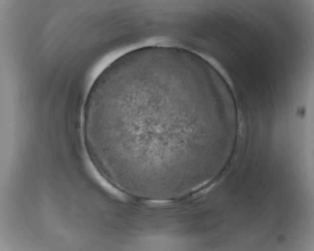 X0000112971343200909031036