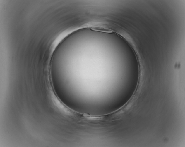 X0000112971344200909031036