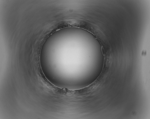 X0000112971345200909031036