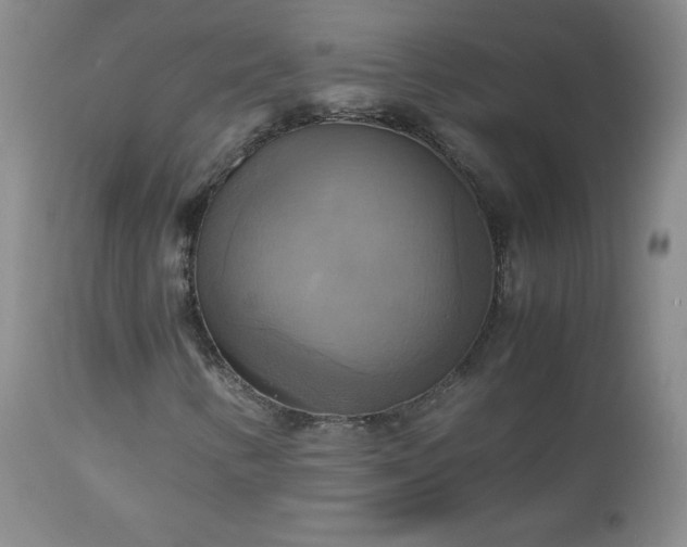 X0000112971346200909031036