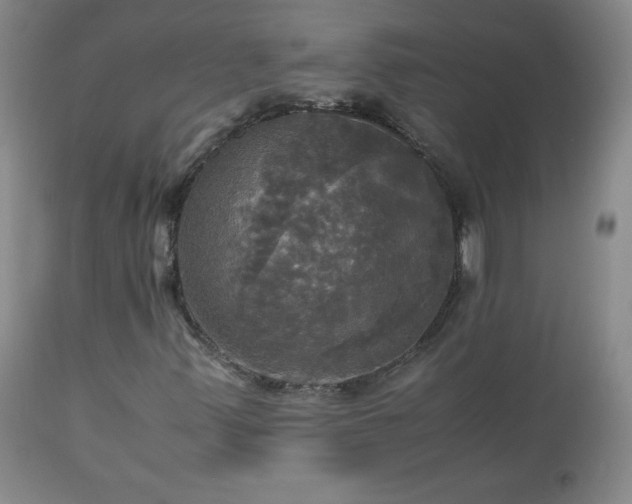 X0000112971347200909031036