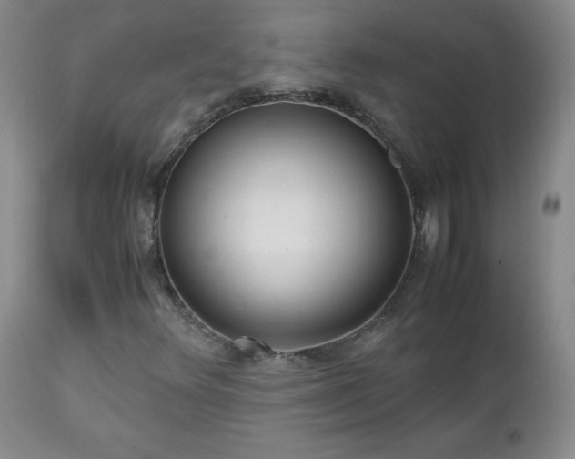 X0000112971348200909031036