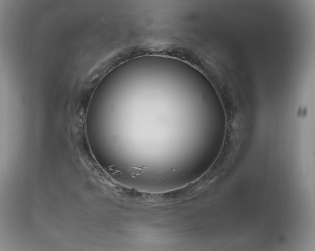 X0000112971349200909031036