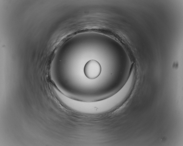 X0000112971353200909031036