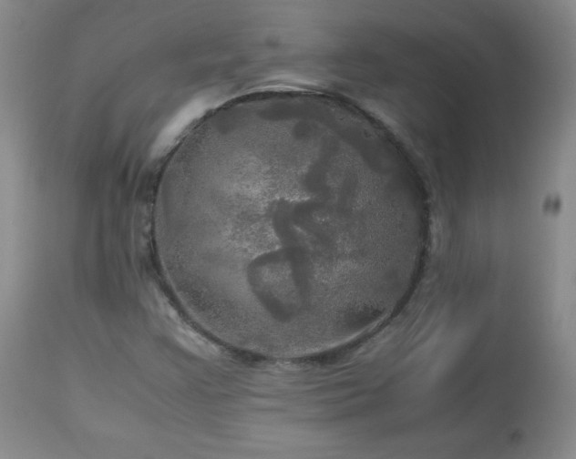 X0000112971355200909031036