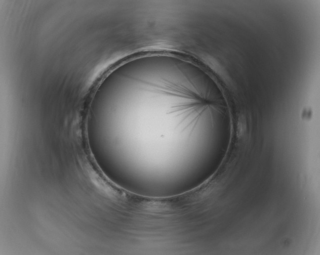 X0000112971356200909031036