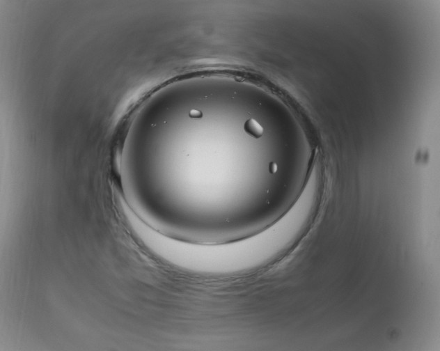 X0000112971357200909031036