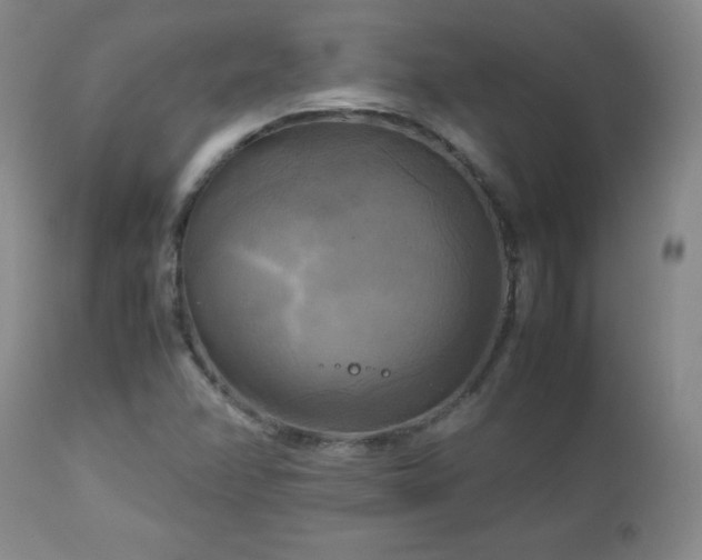 X0000112971358200909031036