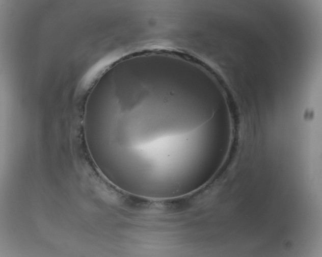 X0000112971359200909031036