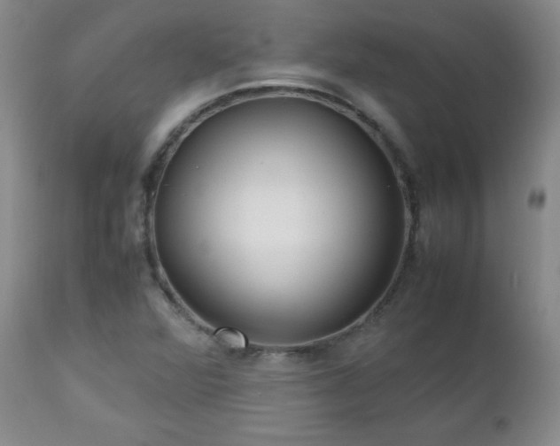 X0000112971360200909031036