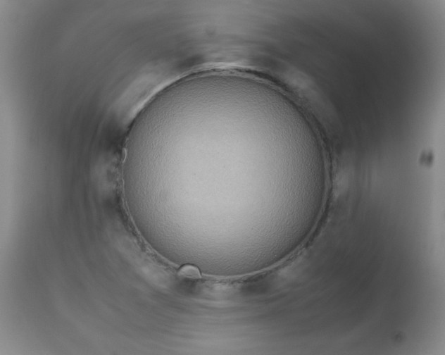 X0000112971361200909031036