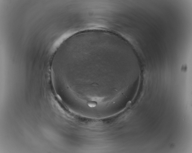 X0000112971363200909031036