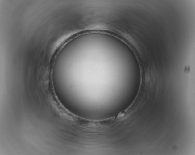 X0000112971364200909031036