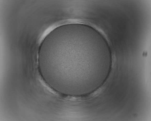 X0000112971365200909031036