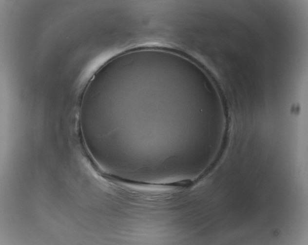 X0000112971367200909031035