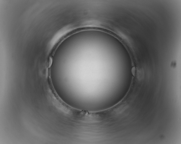 X0000112971368200909031035