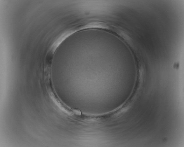 X0000112971369200909031035