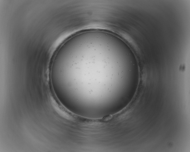 X0000112971372200909031035