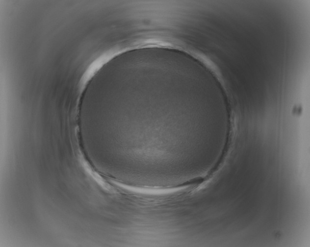 X0000112971373200909031035