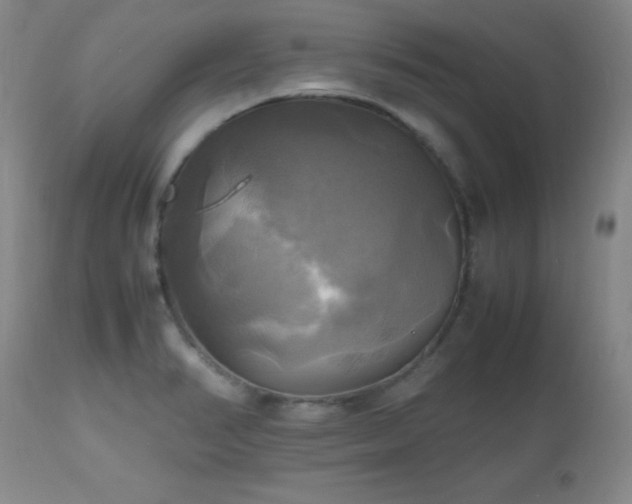 X0000112971374200909031035