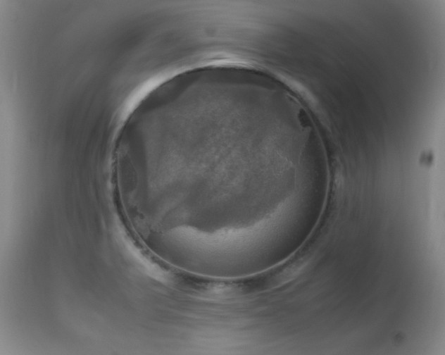 X0000112971375200909031035