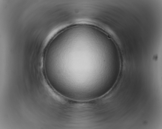 X0000112971376200909031035