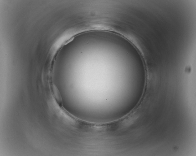 X0000112971381200909031035