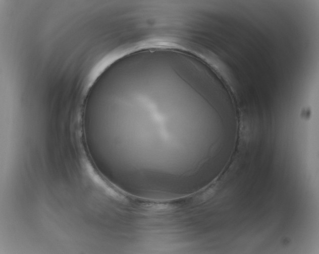 X0000112971382200909031035