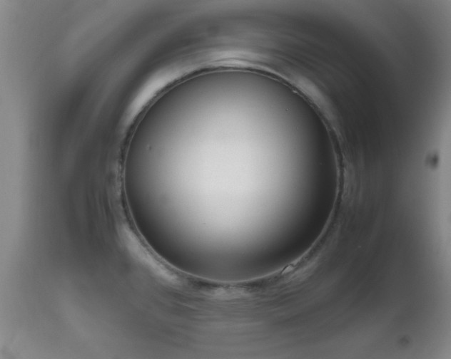 X0000112971384200909031035