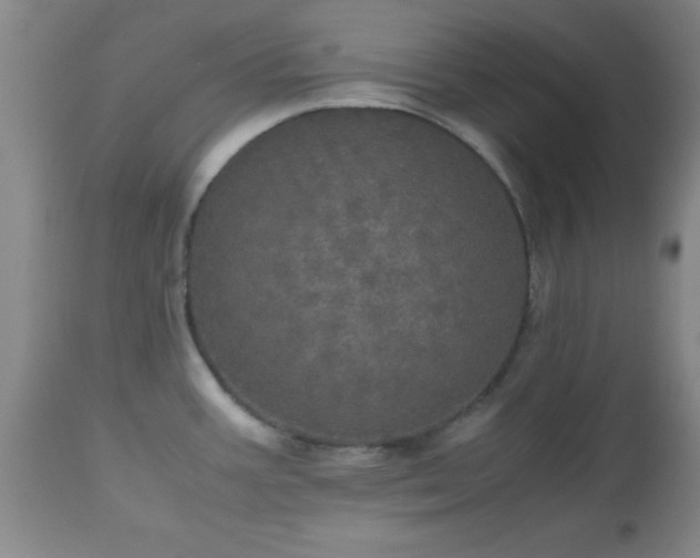 X0000112971387200909031035