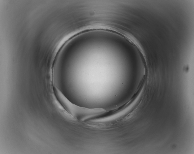 X0000112971388200909031035