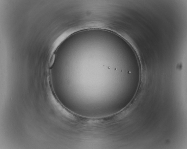 X0000112971389200909031035