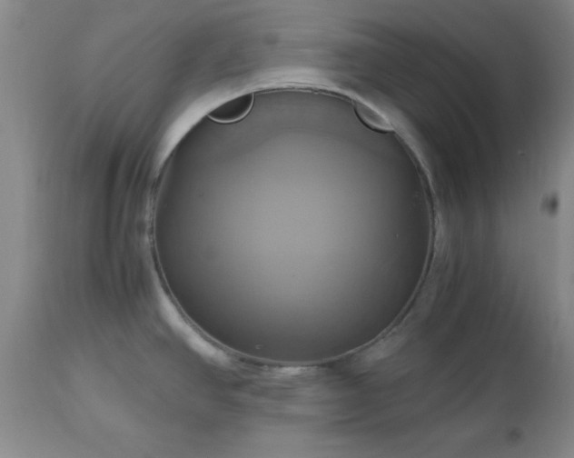 X0000112971390200909031035