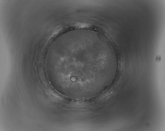 X0000112971393200909031034